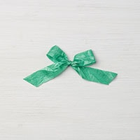 Emerald Envy 5/8" Crinkled Seam Binding Ribbon Emerald Envy 5/8" Crinkled Seam Binding Ribbon