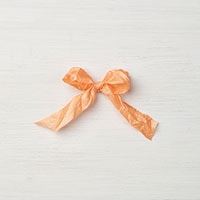 Peekaboo Peach 5/8" Crinkled Seam Binding Ribbon