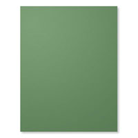 Garden Green 8-1/2" X 11" Card Stock